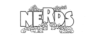 NERDS logo