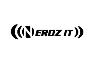 NERDZ IT logo