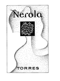 NEROLA TORRES logo