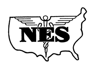 NES logo