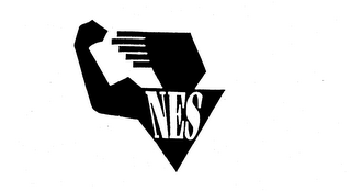 NES logo