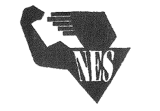 NES logo