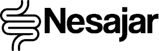 NESAJAR logo