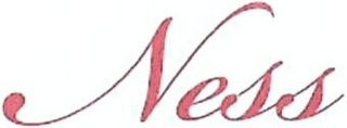 NESS logo