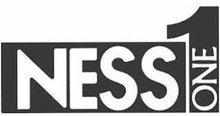 NESS1 ONE logo