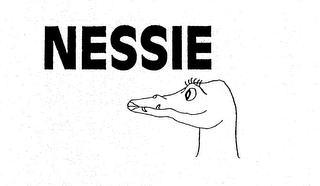 NESSIE logo