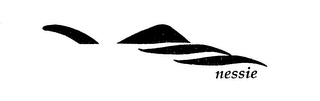 NESSIE logo