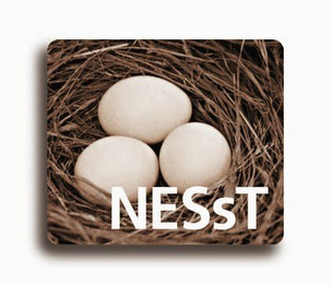 NESST logo