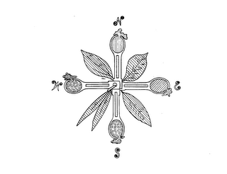 NESW logo