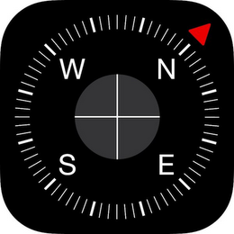 NESW logo