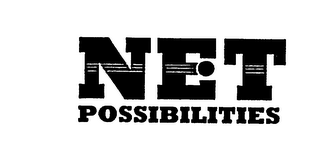 NET POSSIBILITIES logo