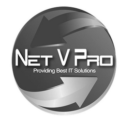 NET V PRO PROVIDING BEST IT SOLUTIONS logo