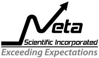 NETA SCIENTIFIC INCORPORATED EXCEEDING EXPECTATIONS logo