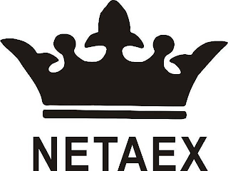 NETAEX logo