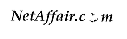 NETAFFAIR.COM logo