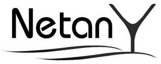 NETANY logo