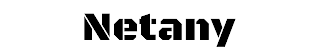NETANY logo