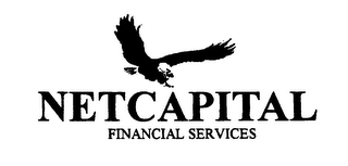 NETCAPITAL FINANCIAL SERVICES logo