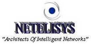 NETELISYS "ARCHITECTS OF INTELLIGENT NETWORKS" logo