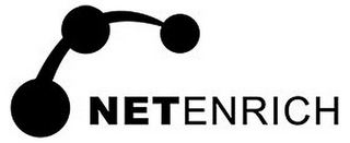 NETENRICH logo