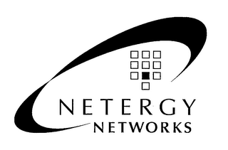 NETERGY NETWORKS logo
