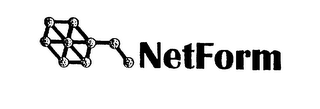 NETFORM logo