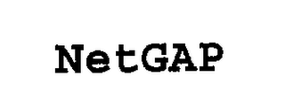 NETGAP logo