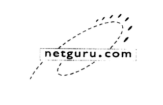 NETGURU.COM logo