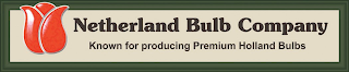 NETHERLAND BULB COMPANY KNOWN FOR PRODUCING PREMIUM HOLLAND BULBS logo
