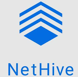NETHIVE logo