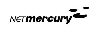 NETMERCURY logo
