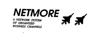 NETMORE A NETWORK SYSTEM OF ORGANIZED BUSINESS CHANNELS logo