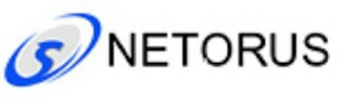 NETORUS logo