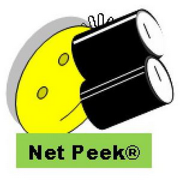 NETPEEK logo