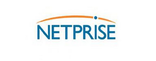 NETPRISE logo