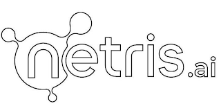 NETRIS.AI logo