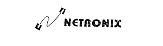 NETRONIX logo