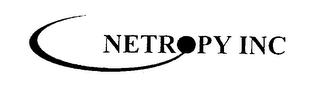 NETROPY INC logo
