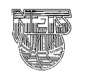 NETS logo