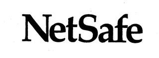 NETSAFE logo