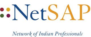 NETSAP NETWORK OF INDIAN PROFESSIONALS logo