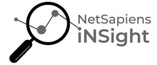 NETSAPIENS INSIGHT logo