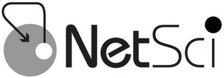NETSCI logo