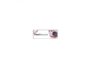 NETSECURE logo