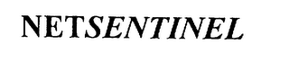 NETSENTINEL logo