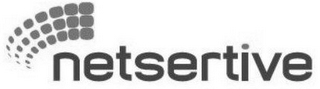 NETSERTIVE logo
