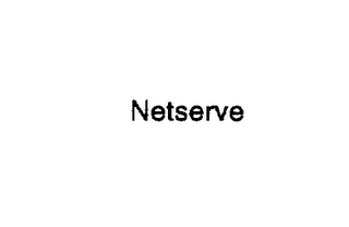 NETSERVE logo