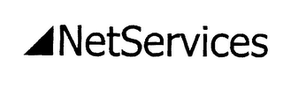 NETSERVICES logo