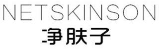 NETSKINSON logo