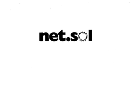 NET.SOL logo